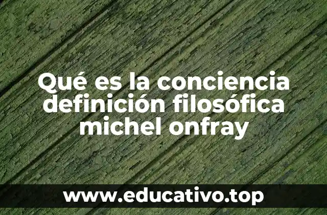 Qué es la conciencia definición filosófica michel onfray