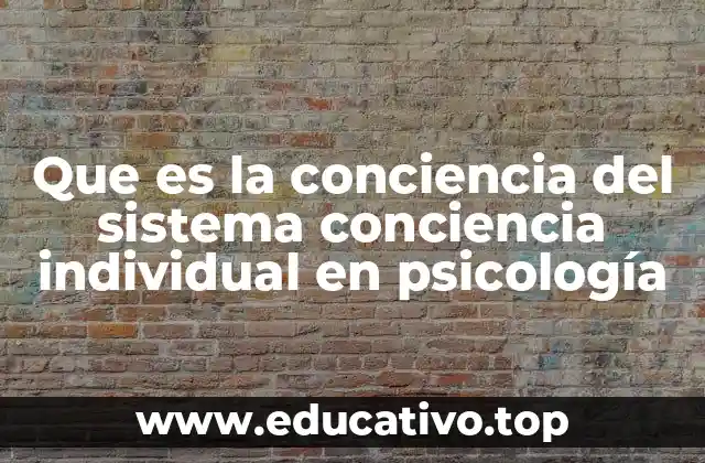 Que es la conciencia del sistema conciencia individual en psicología