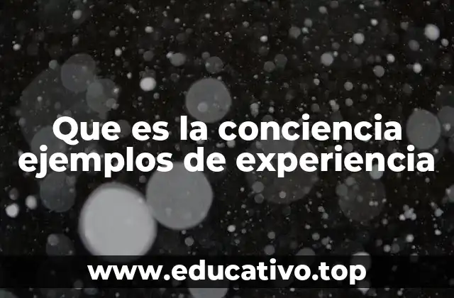 Que es la conciencia ejemplos de experiencia