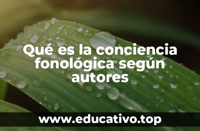 Qué es la conciencia fonológica según autores