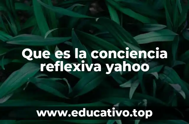 Que es la conciencia reflexiva yahoo