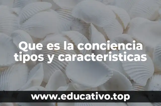 Que es la conciencia tipos y caracteristicas