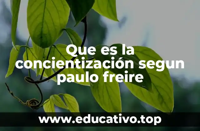 Que es la concientización segun paulo freire