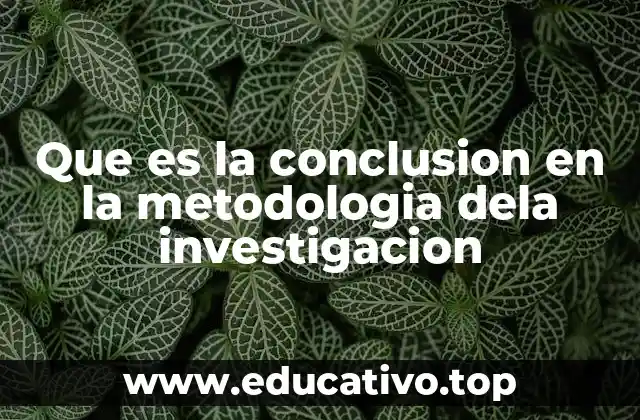 Que es la conclusion en la metodologia dela investigacion