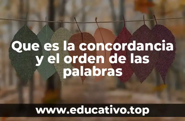 Que es la concordancia y el orden de las palabras