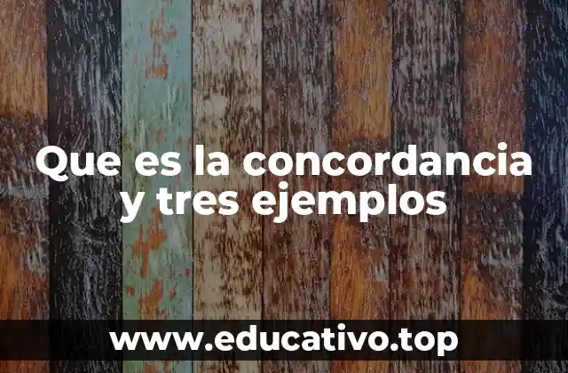 Que es la concordancia y tres ejemplos