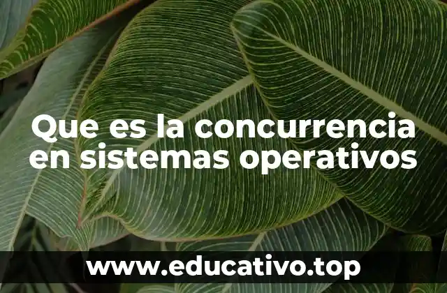 Que es la concurrencia en sistemas operativos