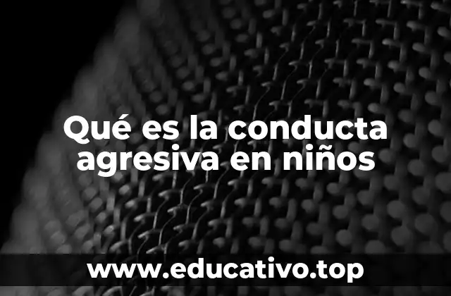 Qué es la conducta agresiva en niños