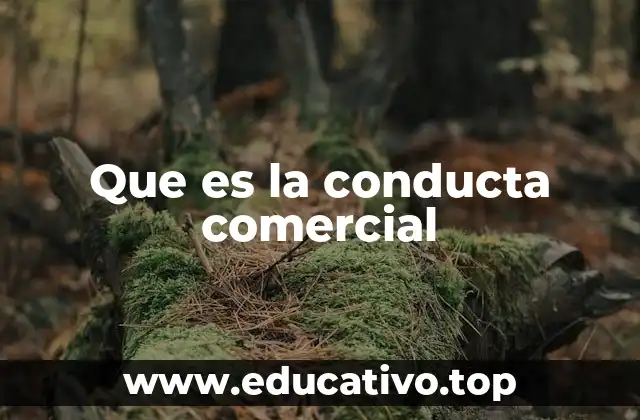 Que es la conducta comercial