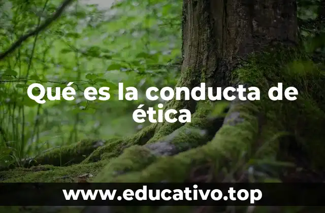 Qué es la conducta de ética