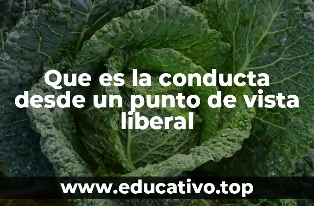 Que es la conducta desde un punto de vista liberal