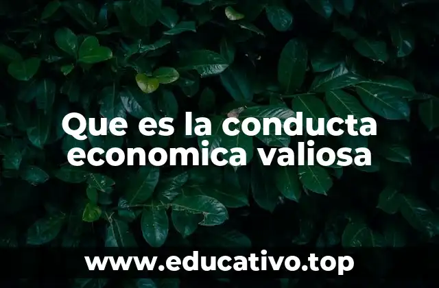 Que es la conducta economica valiosa