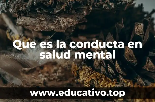 Que es la conducta en salud mental