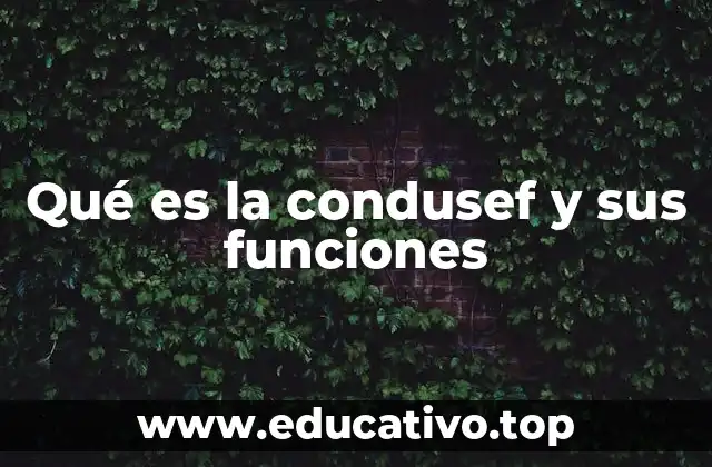 Qué es la condusef y sus funciones