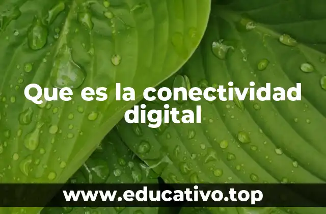 Que es la conectividad digital