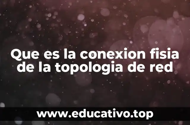 Que es la conexion fisia de la topologia de red