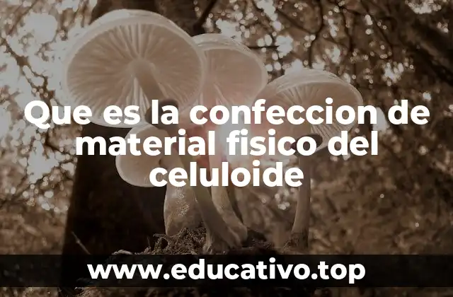 Que es la confeccion de material fisico del celuloide