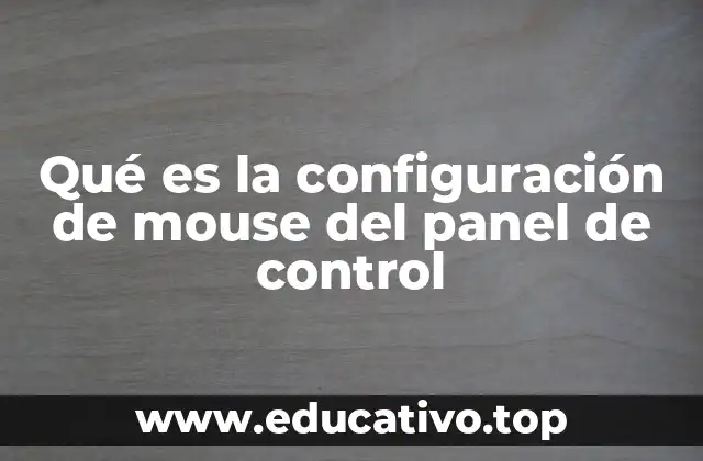 Personalizar tu dispositivo de puntero para una mejor eficiencia