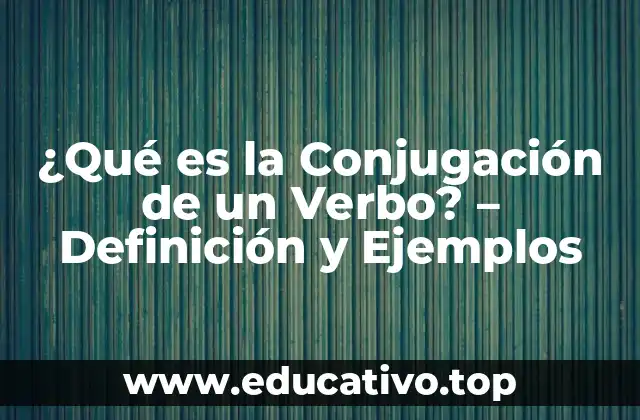 ¿Qué es la Conjugación de un Verbo? – Definición y Ejemplos