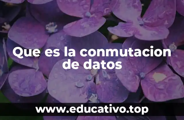 Que es la conmutacion de datos