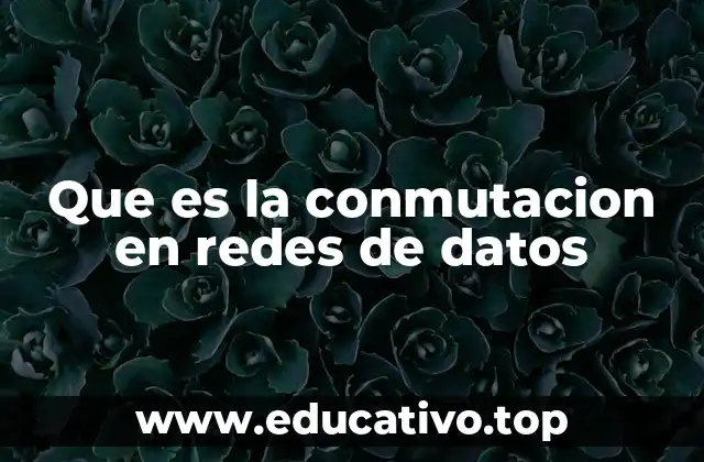 Que es la conmutacion en redes de datos