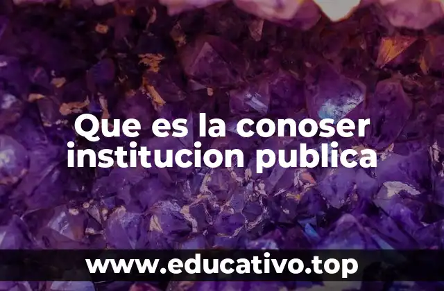 Que es la conoser institucion publica