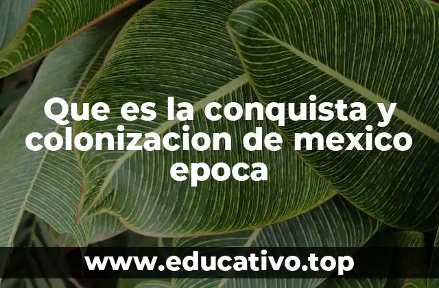 Que es la conquista y colonizacion de mexico epoca
