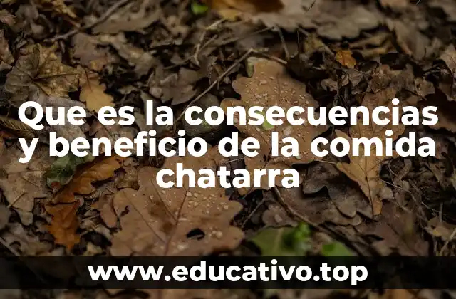 Que es la consecuencias y beneficio de la comida chatarra