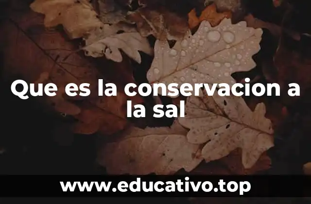 Que es la conservacion a la sal