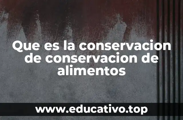 Métodos tradicionales y modernos para mantener la frescura de los alimentos
