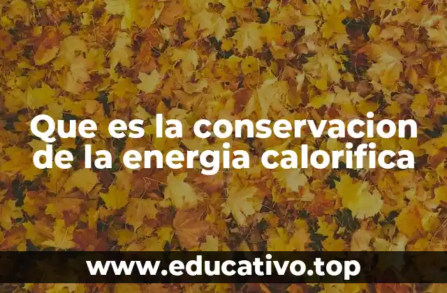 Que es la conservacion de la energia calorifica