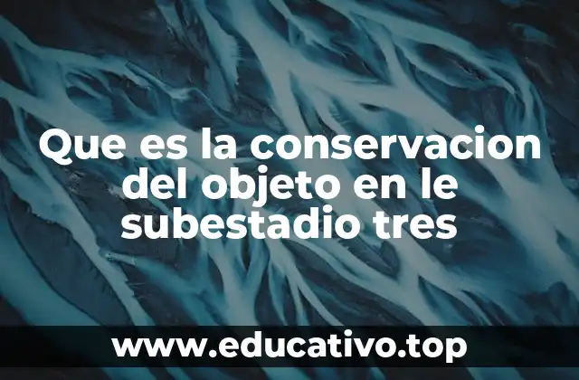 Que es la conservacion del objeto en le subestadio tres