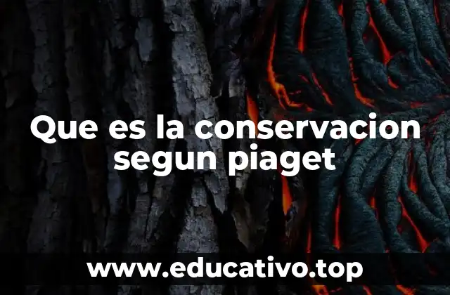 Que es la conservacion segun piaget
