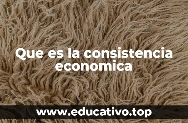 Que es la consistencia economica