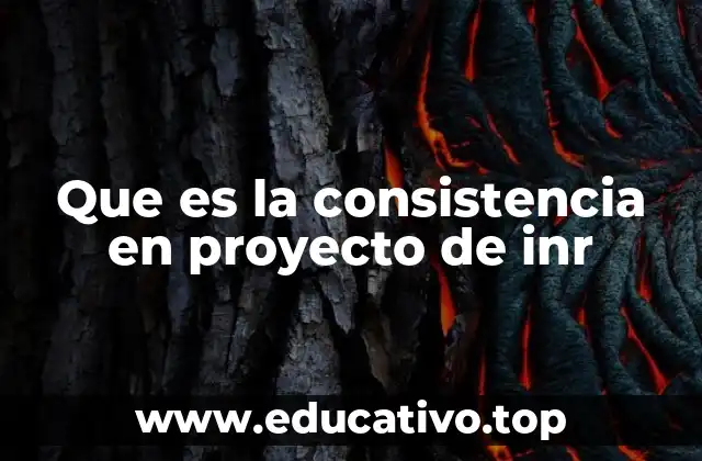 Que es la consistencia en proyecto de inr