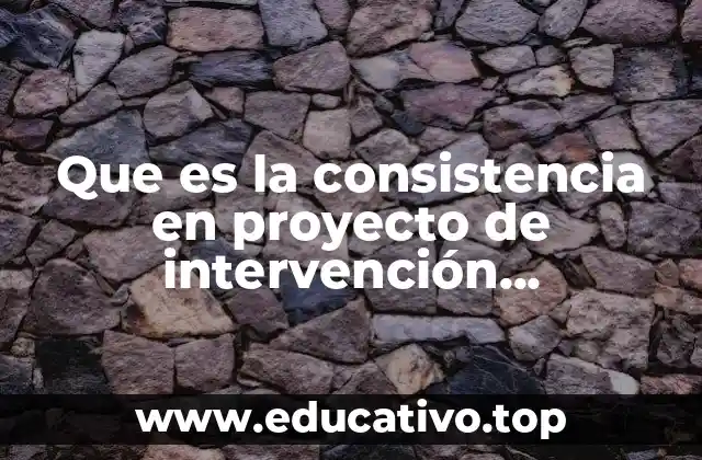 Que es la consistencia en proyecto de intervención socioeducativa