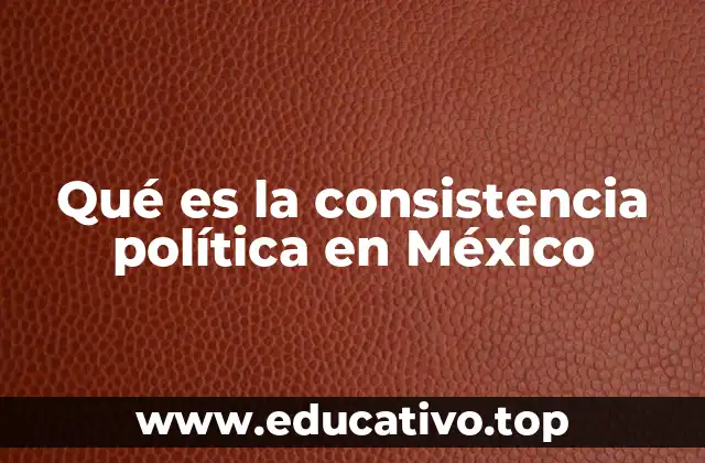 Qué es la consistencia política en México