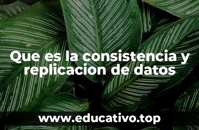 Que es la consistencia y replicacion de datos