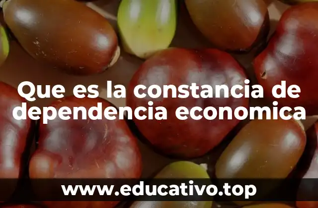Que es la constancia de dependencia economica