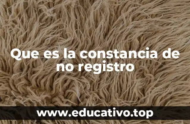 Que es la constancia de no registro