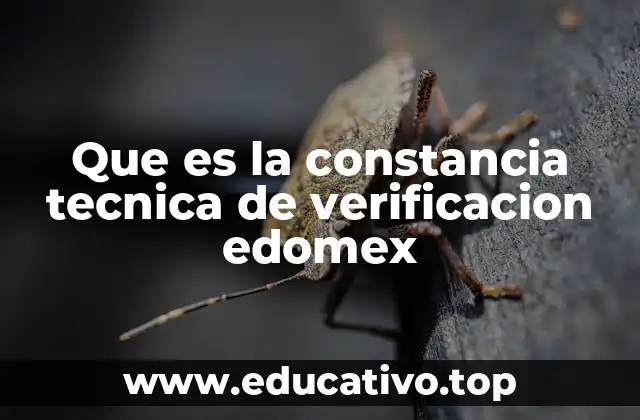 Que es la constancia tecnica de verificacion edomex