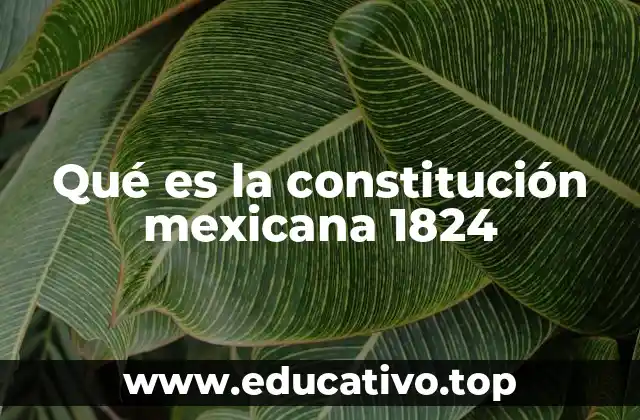 Qué es la constitución mexicana 1824