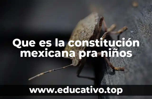 Que es la constitución mexicana pra niños