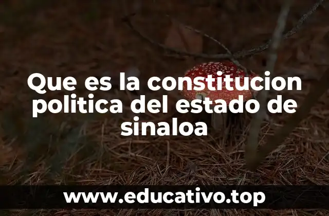 Que es la constitucion politica del estado de sinaloa