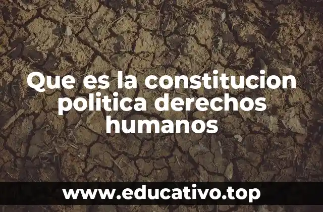 Que es la constitucion politica derechos humanos
