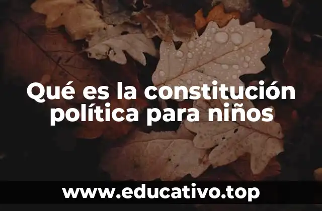 Qué es la constitución política para niños