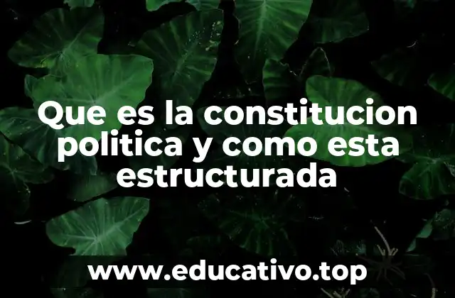 Que es la constitucion politica y como esta estructurada