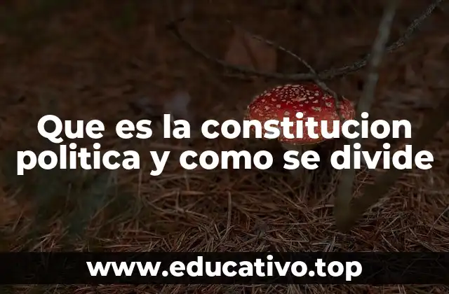 Que es la constitucion politica y como se divide