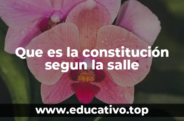 Que es la constitución segun la salle