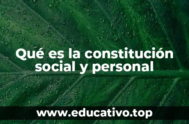 Qué es la constitución social y personal